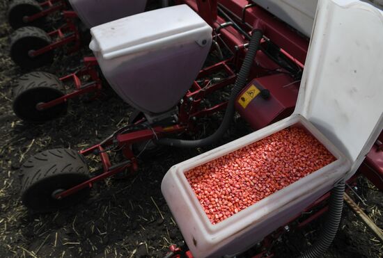 Russia Sowing Season