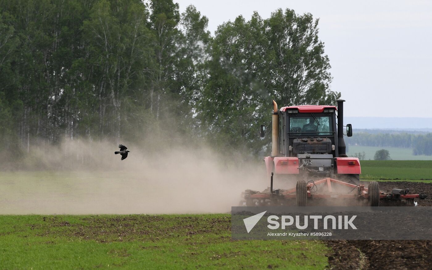 Russia Sowing Season
