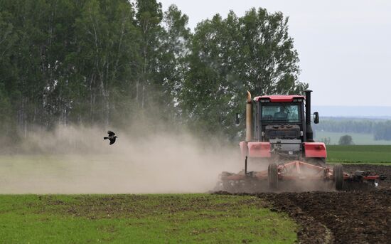 Russia Sowing Season