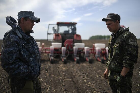Russia Sowing Season