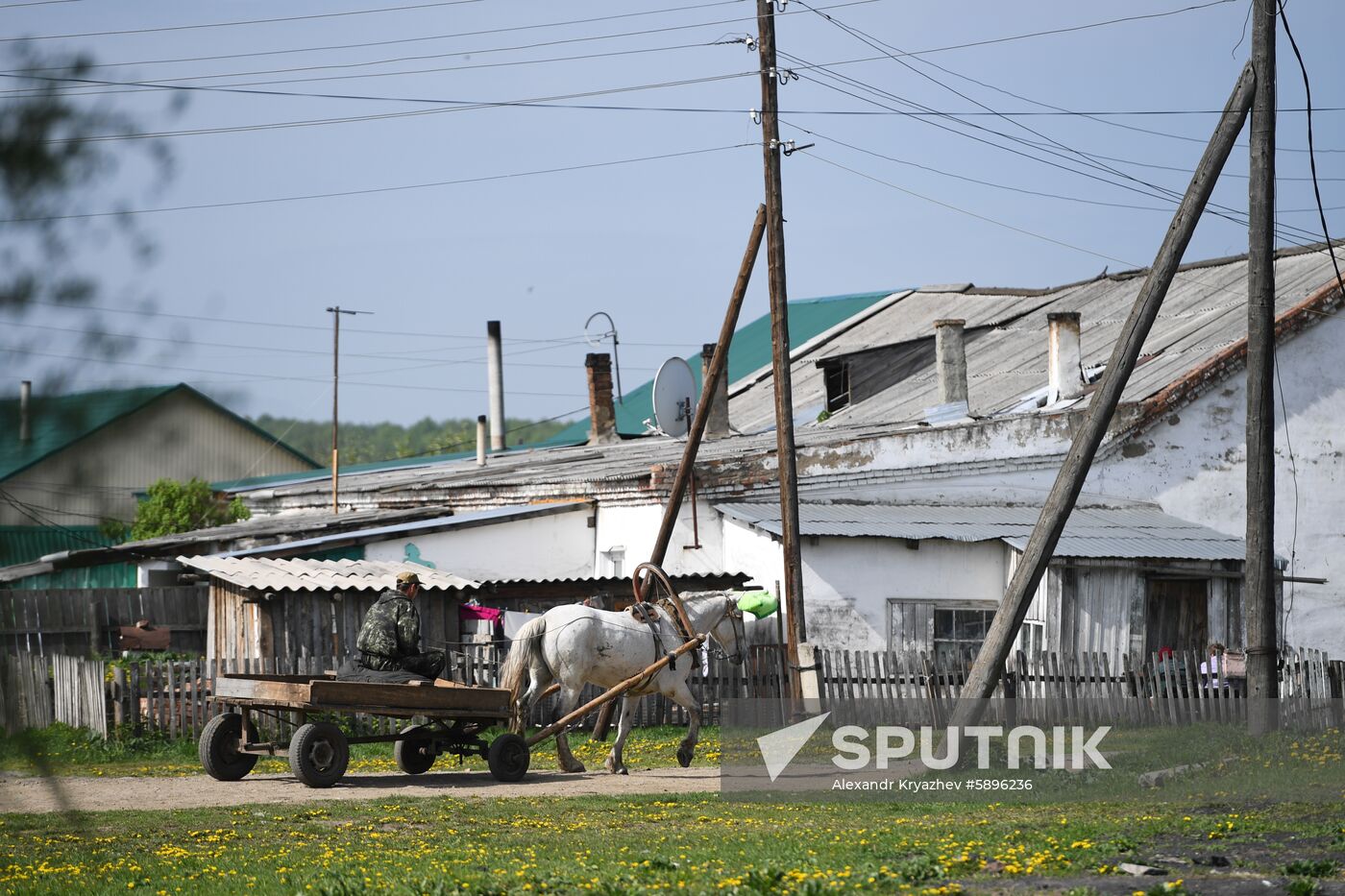 Russia Sowing Season