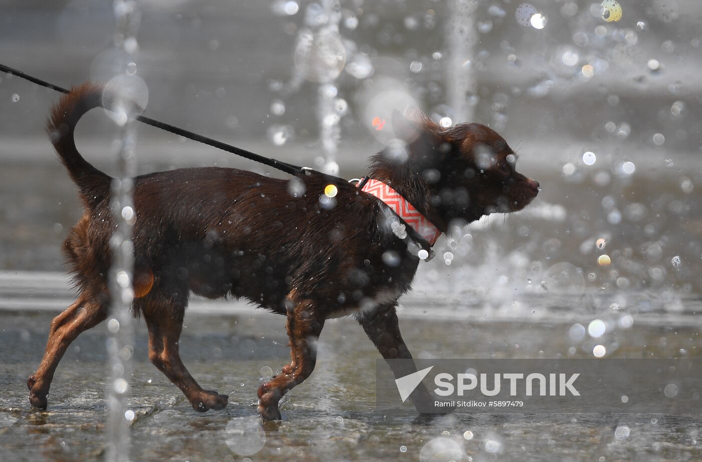 Russia Hot Weather