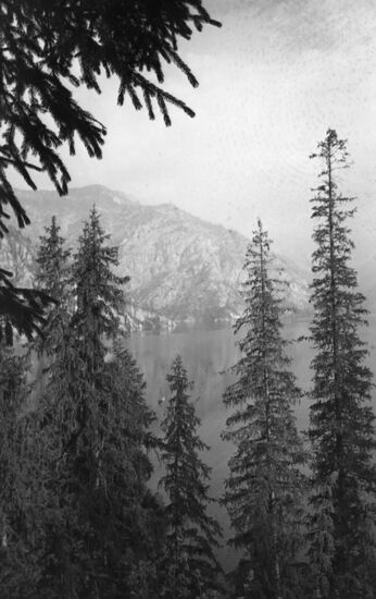 Sary-Chelek Nature Reserve