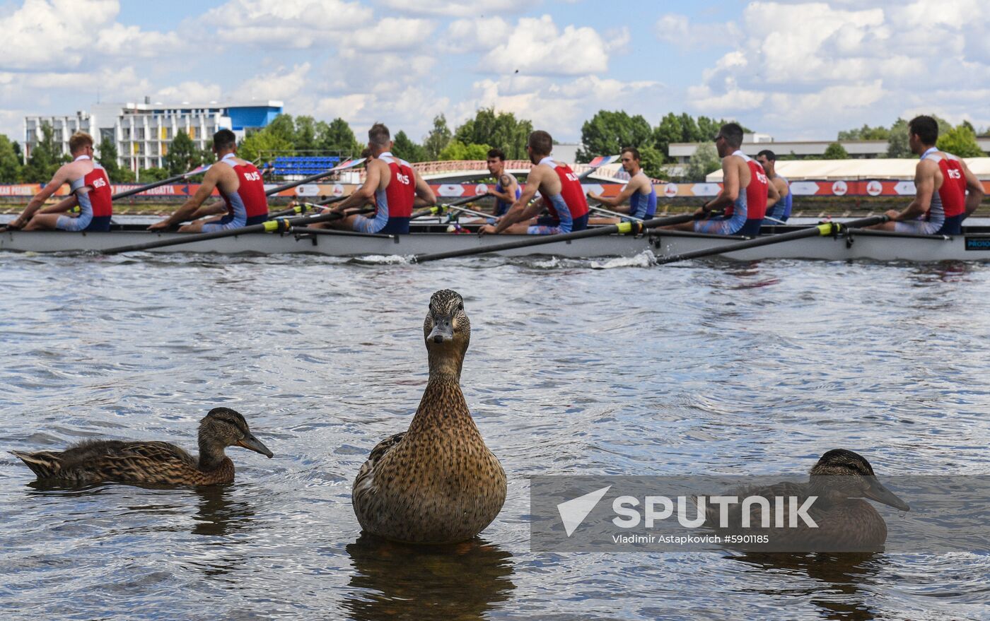 Russia Rowing 