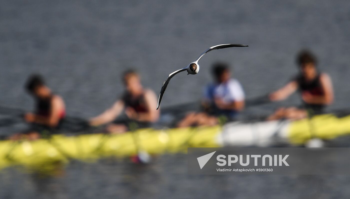 Russia Rowing 