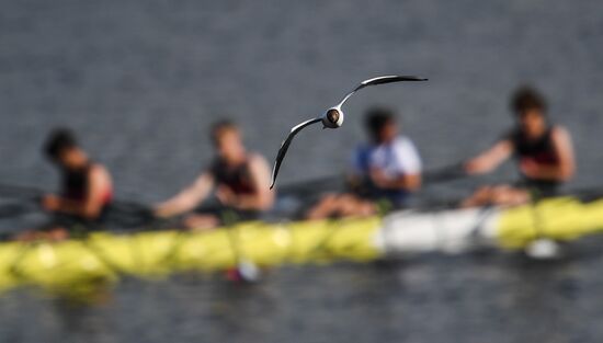 Russia Rowing 