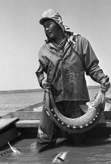 Fishing season in mouth of Ural River