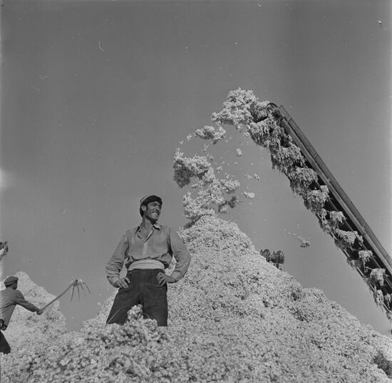 Cotton procurement center