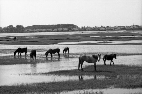 Amangeldy collective farm in Kazakhstan