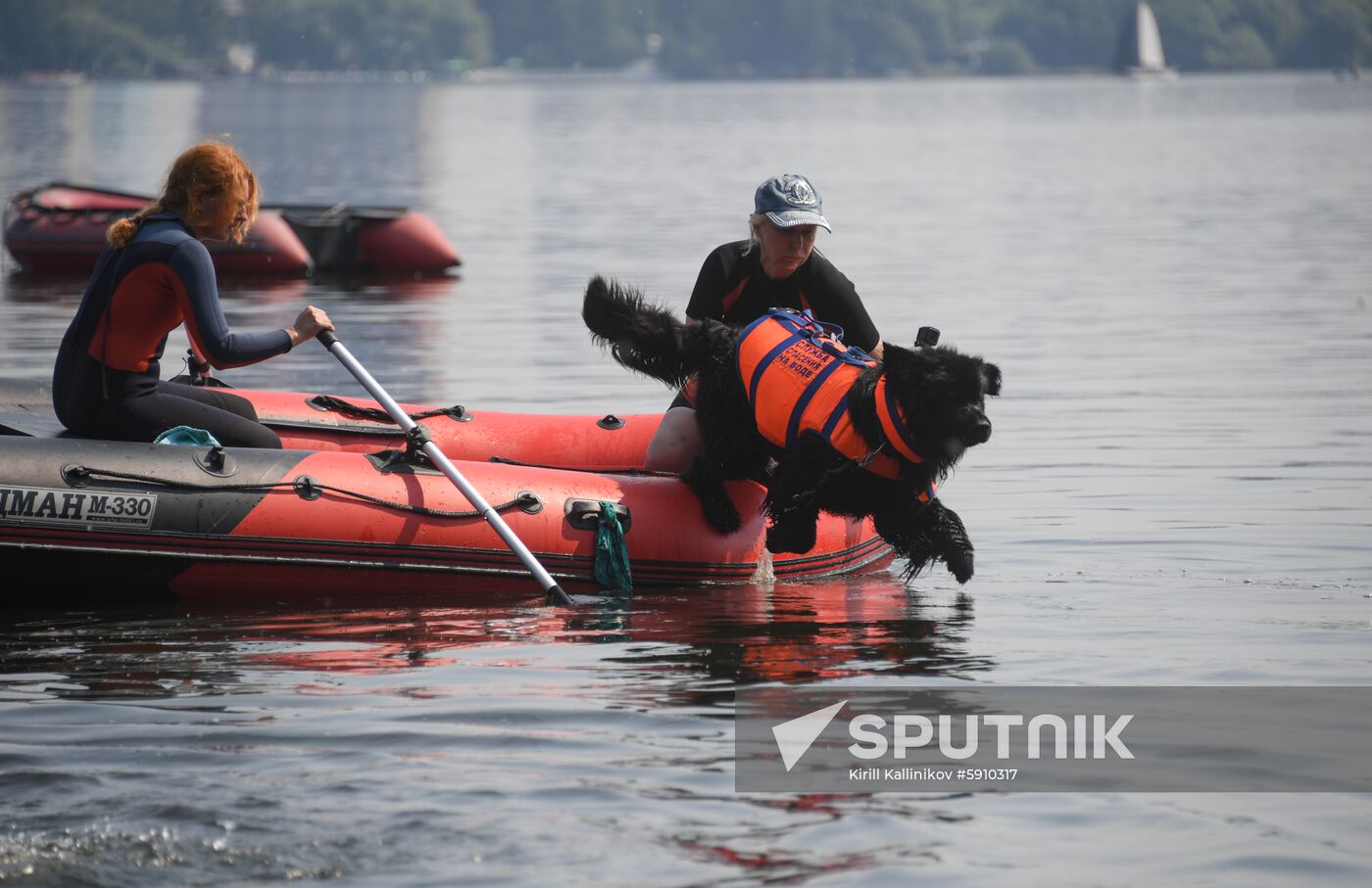 Russia Rescue Dogs