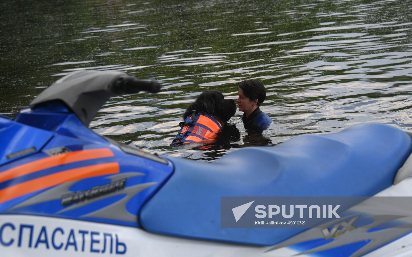 Russia Rescue Dogs