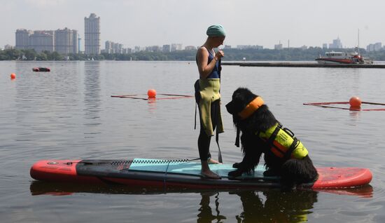 Russia Rescue Dogs
