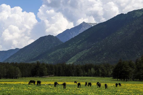 Russia Karachay Cherkessia