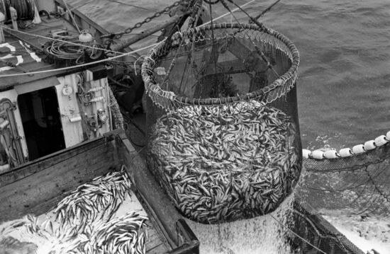 Dalryba Enterprize fishing