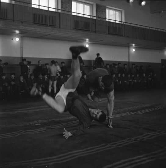 Sambo tournament