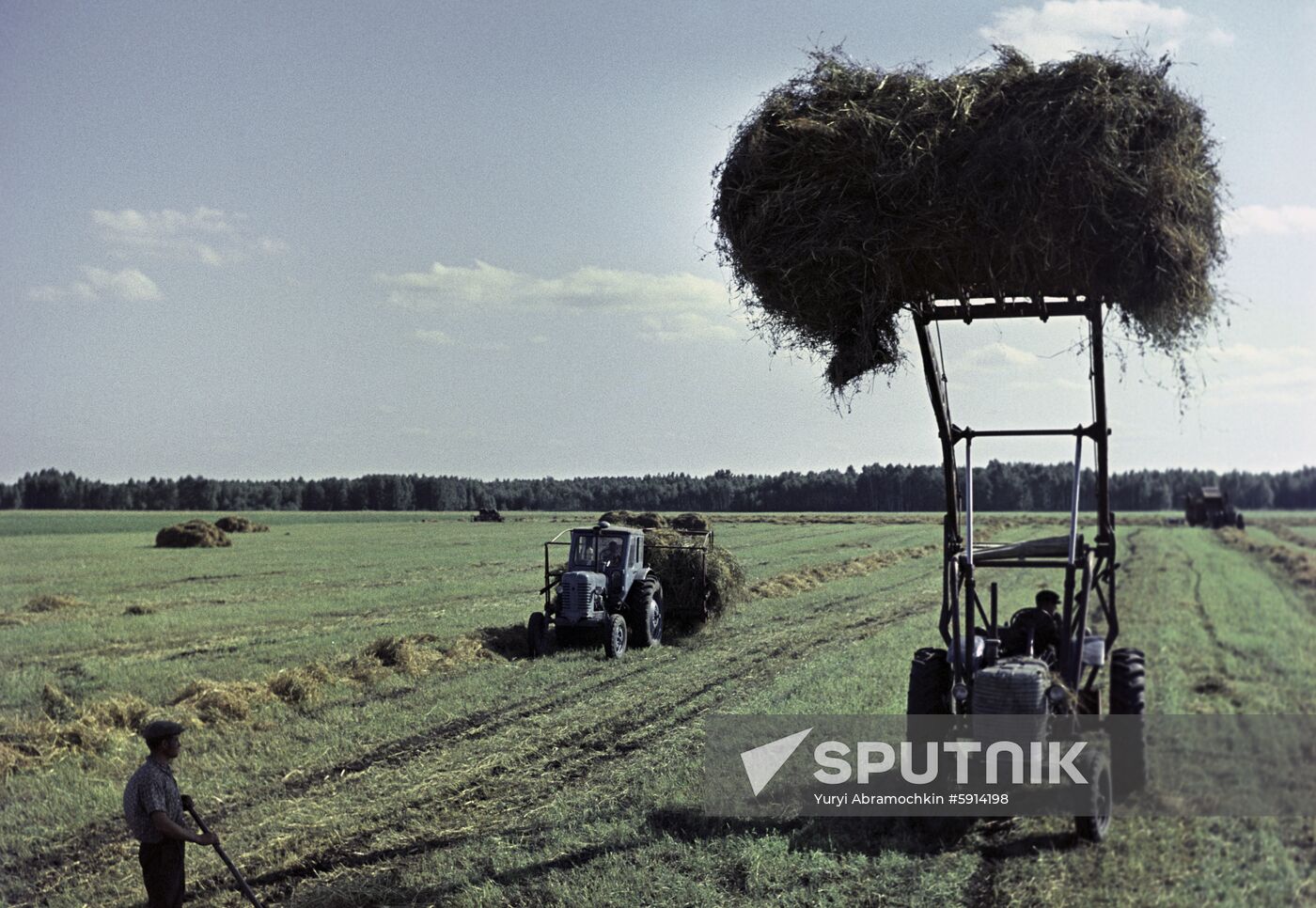 Stacking hay at Zavety Ilyicha (Lenin's Behests) collective farm