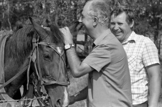 Rossiya Plemzavod collective farm