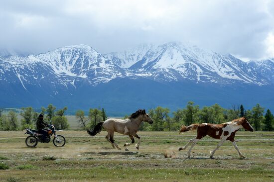 Russia Altai