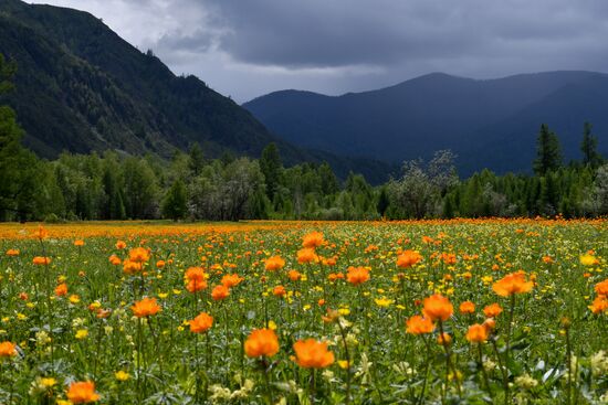 Russia Altai