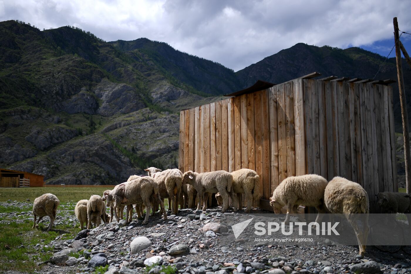 Russia Altai