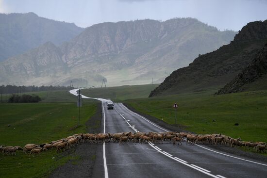 Russia Altai