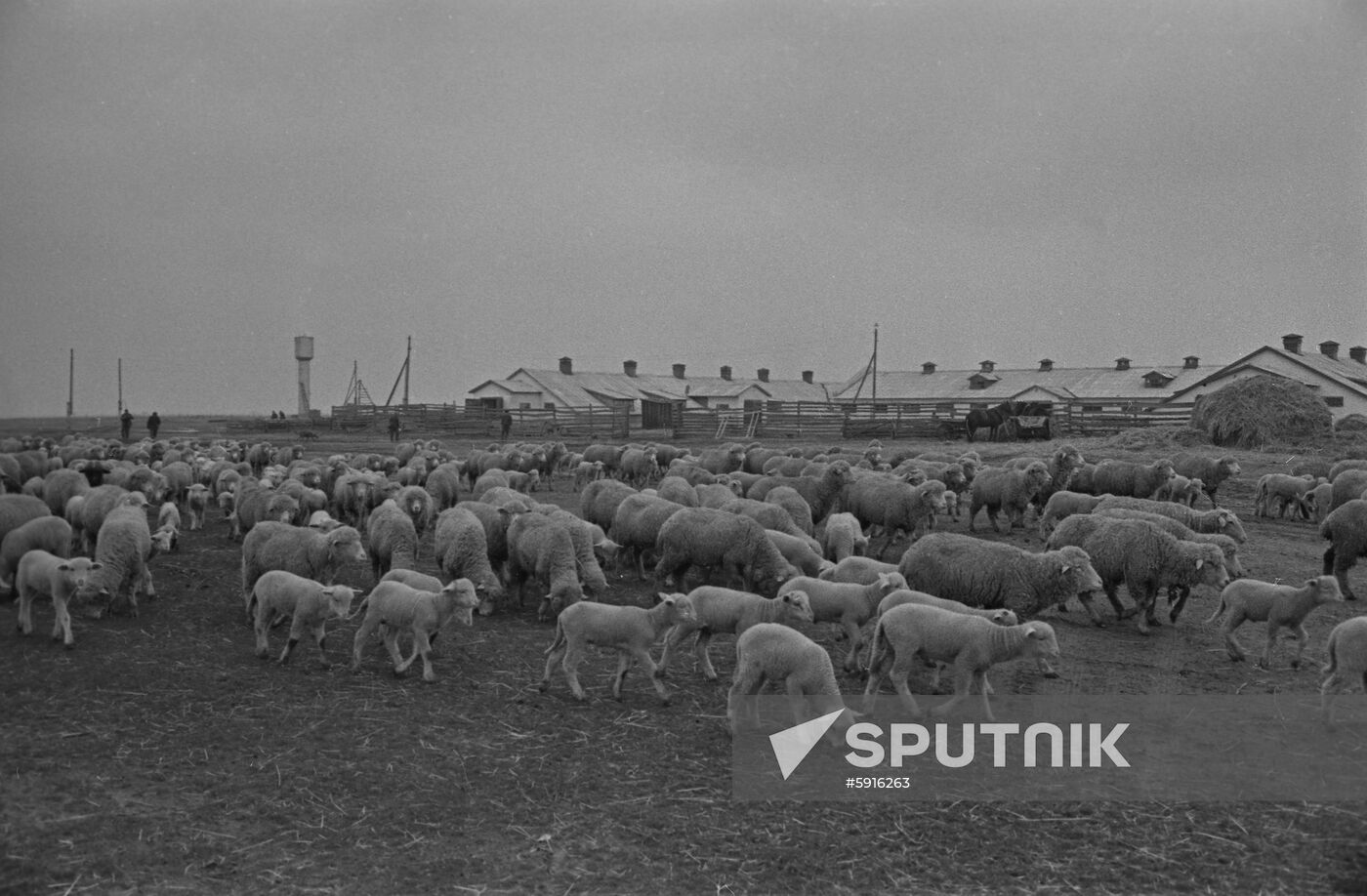 Lenin collective farm in Daghestan