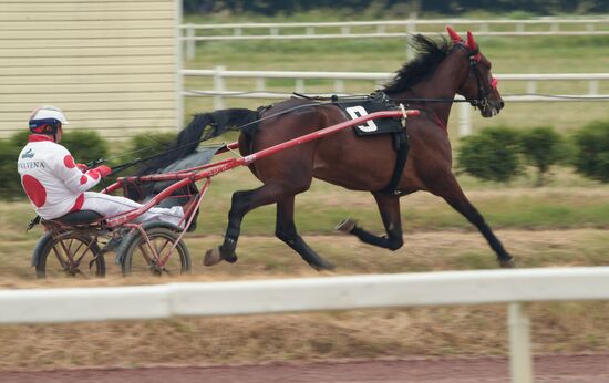 Russia Horse Race