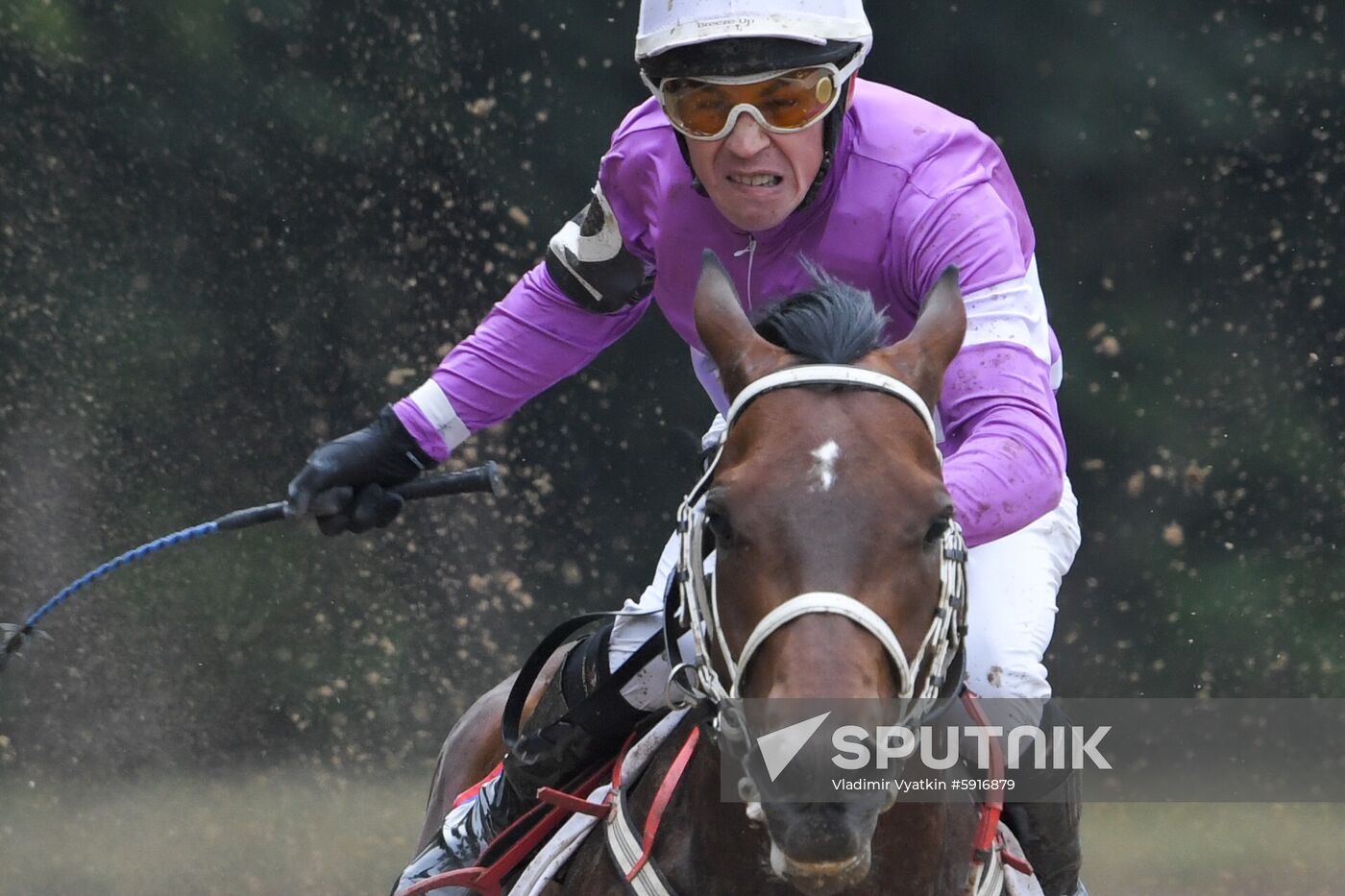 Russia Horse Race