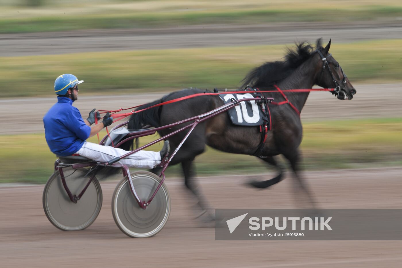 Russia Horse Race