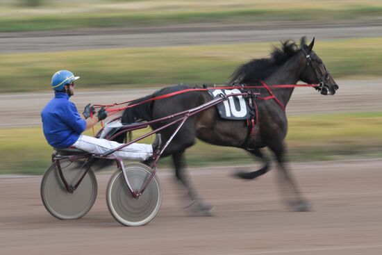 Russia Horse Race