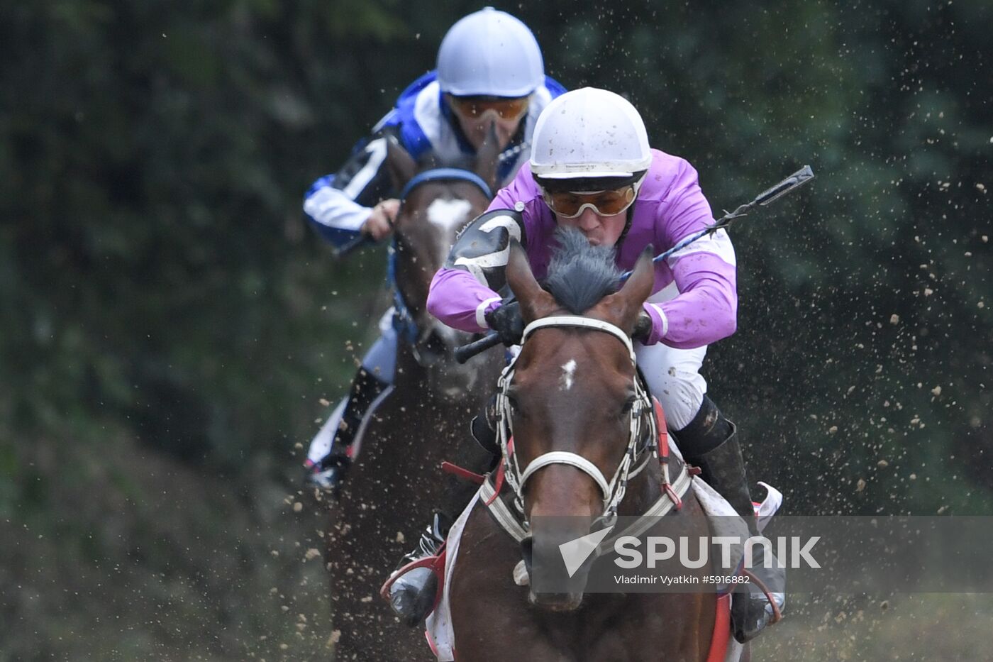 Russia Horse Race