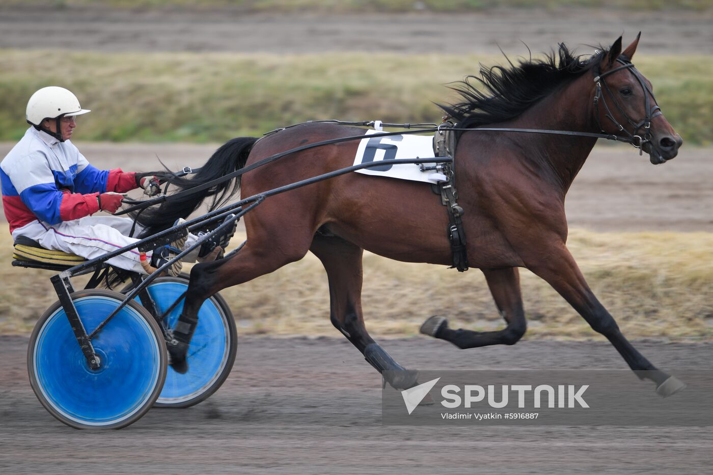 Russia Horse Race