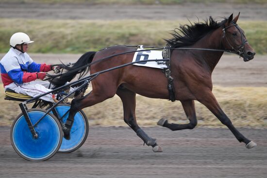 Russia Horse Race