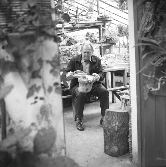 Artist-dendrologist Sergei Venchagov