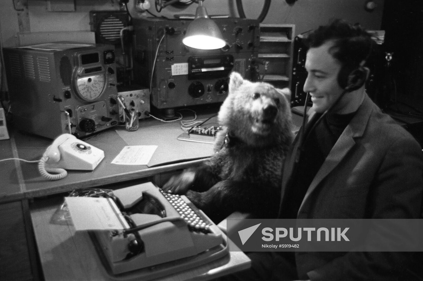 Bear cub aboard Alexander Pushkin cruise liner
