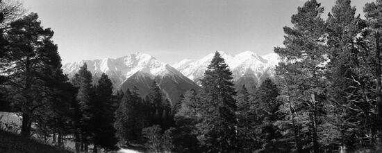 Caucasus Reserve