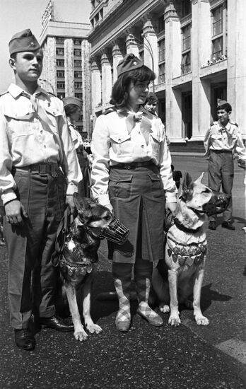 Young dog trainer club