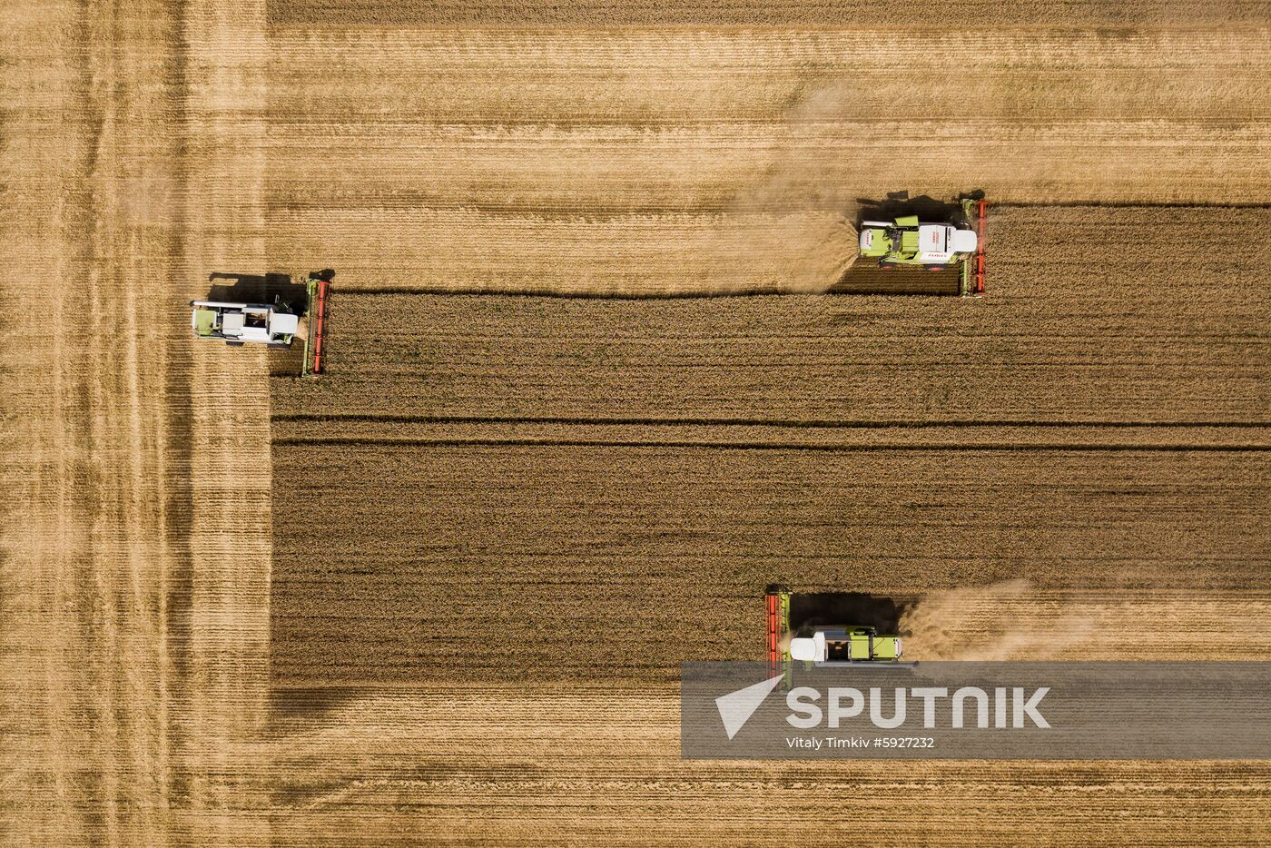 Russia Wheat Harvest