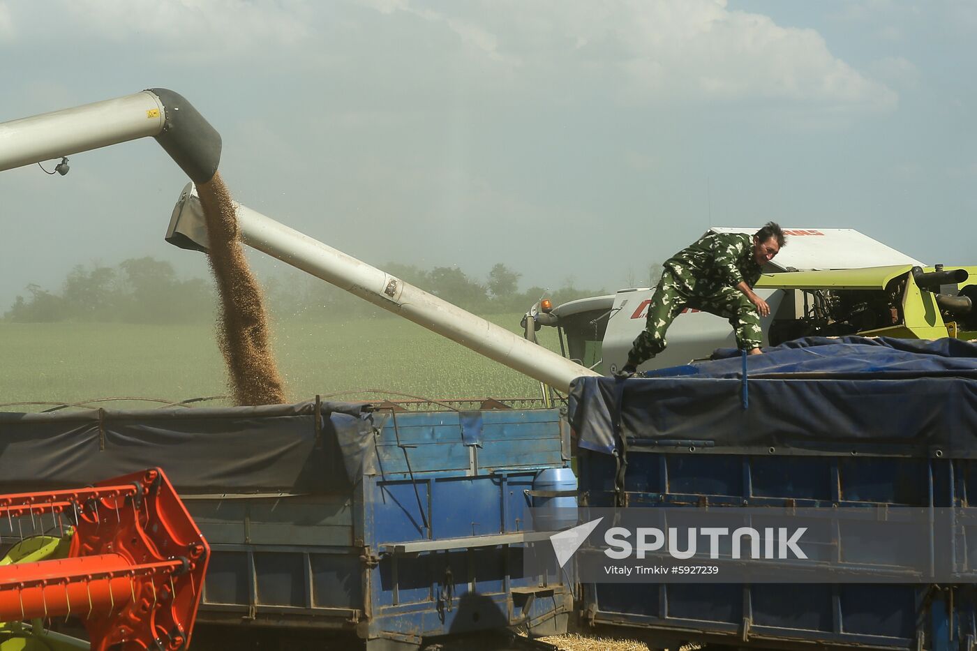 Russia Wheat Harvest 