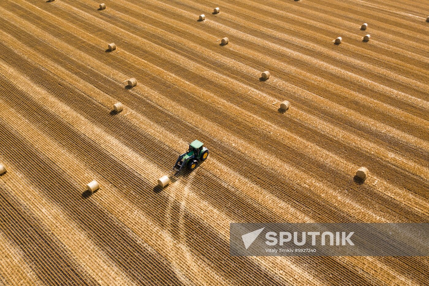 Russia Wheat Harvest