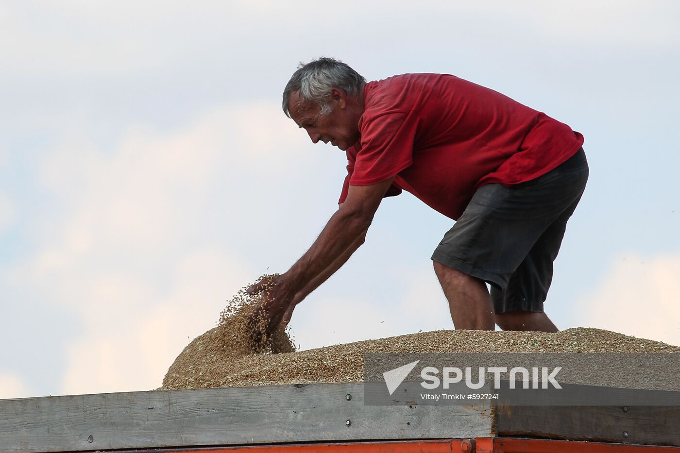 Russia Wheat Harvest 