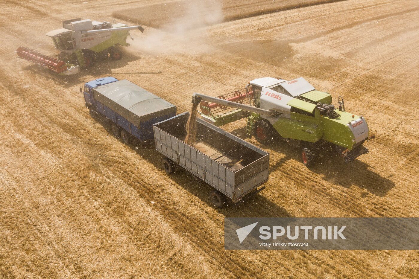 Russia Wheat Harvest 