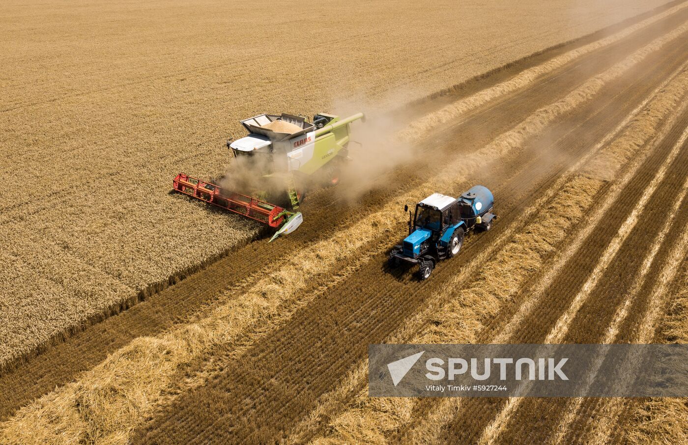 Russia Wheat Harvest