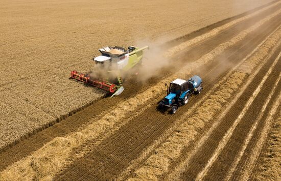 Russia Wheat Harvest 