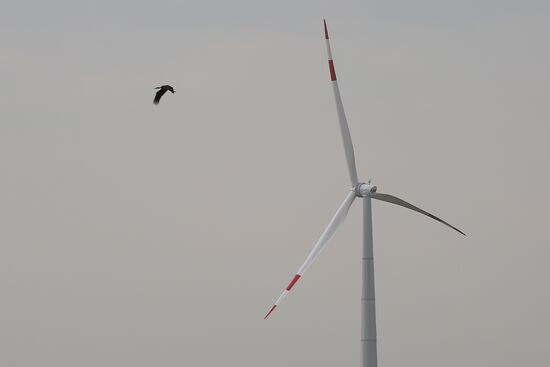 Russia Wind Turbines