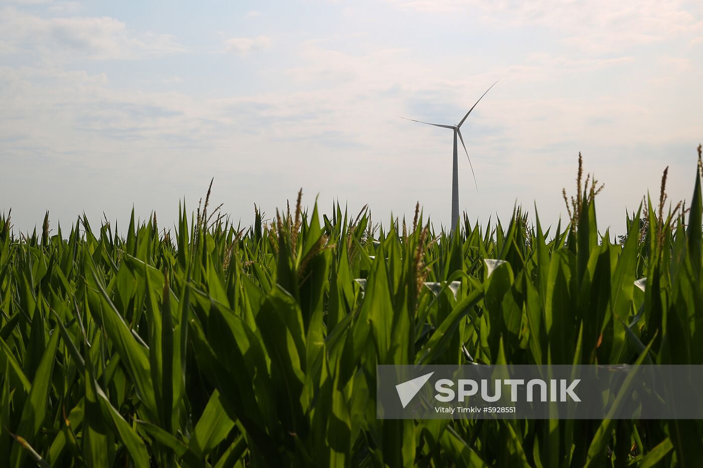 Russia Wind Turbines