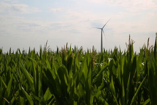 Russia Wind Turbines