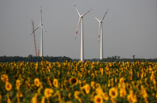 Russia Wind Turbines