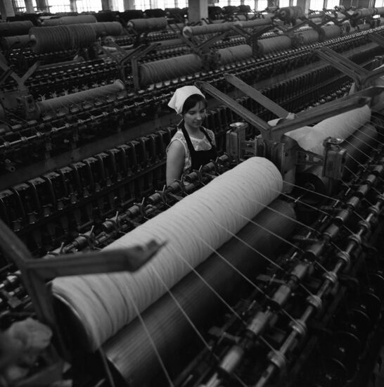 Akimov Fine Cloth Factory in Kupavna