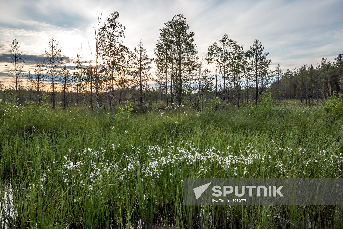 Russia Regions Karelia